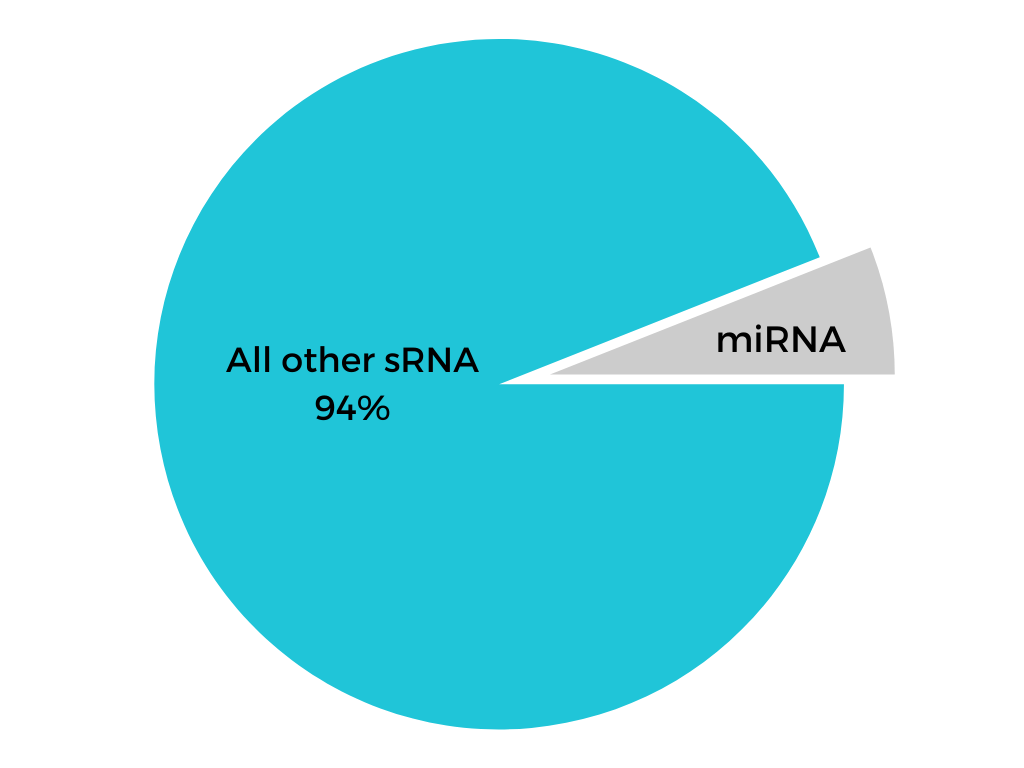 All other sRNA 94%
